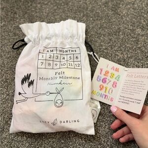 Darling Felt Monthly Milestone Numbers - Pastel Mix